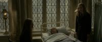 EdP-Potterish8821.jpg