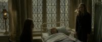 EdP-Potterish8822.jpg