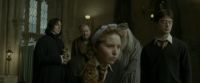 EdP-Potterish8836.jpg