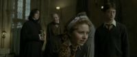 EdP-Potterish8840.jpg