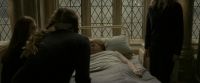 EdP-Potterish8841.jpg