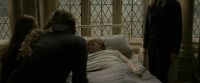 EdP-Potterish8842.jpg