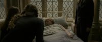 EdP-Potterish8844.jpg