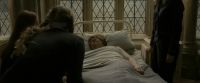EdP-Potterish8846.jpg