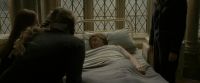 EdP-Potterish8848.jpg