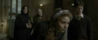 EdP-Potterish8856.jpg