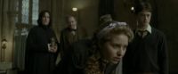 EdP-Potterish8858.jpg