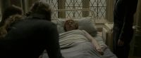 EdP-Potterish8864.jpg