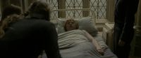 EdP-Potterish8865.jpg