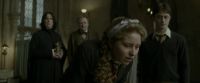 EdP-Potterish8872.jpg