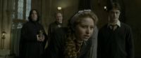 EdP-Potterish8875.jpg
