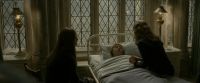 EdP-Potterish8879.jpg