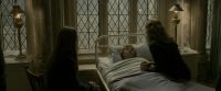 EdP-Potterish8881.jpg