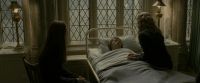 EdP-Potterish8896.jpg