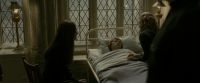 EdP-Potterish8900.jpg
