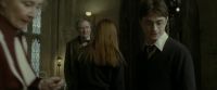 EdP-Potterish8913.jpg