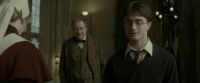 EdP-Potterish8917.jpg