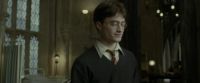 EdP-Potterish8932.jpg