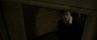 EdP-Potterish8967.jpg