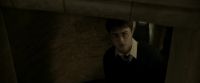 EdP-Potterish8970.jpg