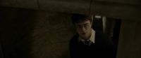 EdP-Potterish8971.jpg