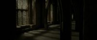 EdP-Potterish8977.jpg