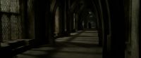 EdP-Potterish8979.jpg