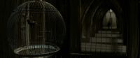 EdP-Potterish8984.jpg