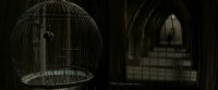 EdP-Potterish8985.jpg