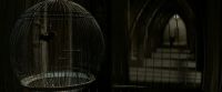 EdP-Potterish8987.jpg