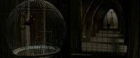EdP-Potterish8988.jpg