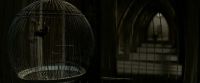 EdP-Potterish8989.jpg
