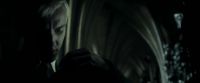 EdP-Potterish9029.jpg