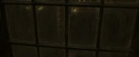 EdP-Potterish9072.jpg