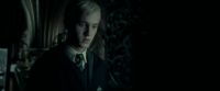 EdP-Potterish9098.jpg