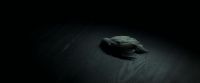 EdP-Potterish9102.jpg