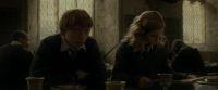 EdP-Potterish9130.jpg