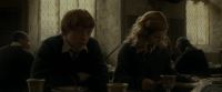 EdP-Potterish9131.jpg