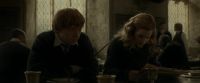 EdP-Potterish9135.jpg
