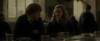 EdP-Potterish9165.jpg