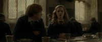 EdP-Potterish9177.jpg