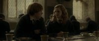 EdP-Potterish9213.jpg
