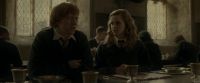 EdP-Potterish9222.jpg