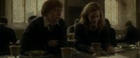 EdP-Potterish9245.jpg