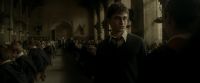 EdP-Potterish9331.jpg