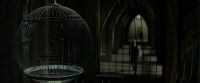 EdP-Potterish9354.jpg