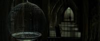EdP-Potterish9356.jpg