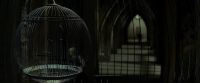 EdP-Potterish9357.jpg
