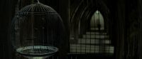 EdP-Potterish9358.jpg