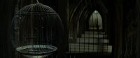 EdP-Potterish9359.jpg